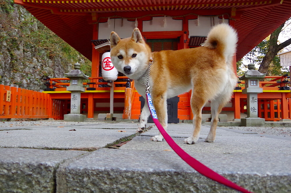 争冠之夜，他是沉默的棋手，卡塞米罗如何以三次触球决定了王冠的归属