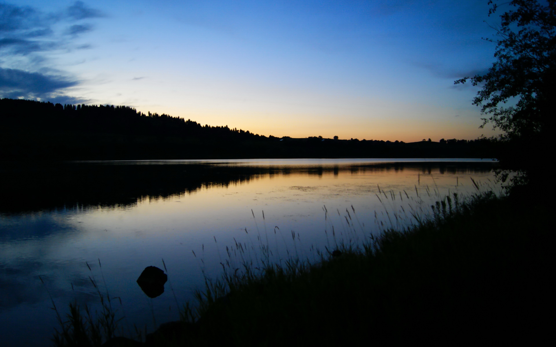篮球跨界风暴，尼克斯一波流席卷广东，杰伦·格林意甲焦点战称王